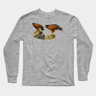 Pair of Harris Hawks on the hunt Long Sleeve T-Shirt